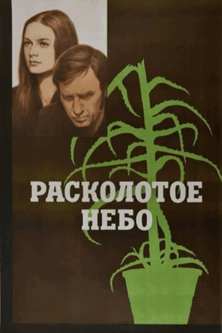 Perskeltas dangus
