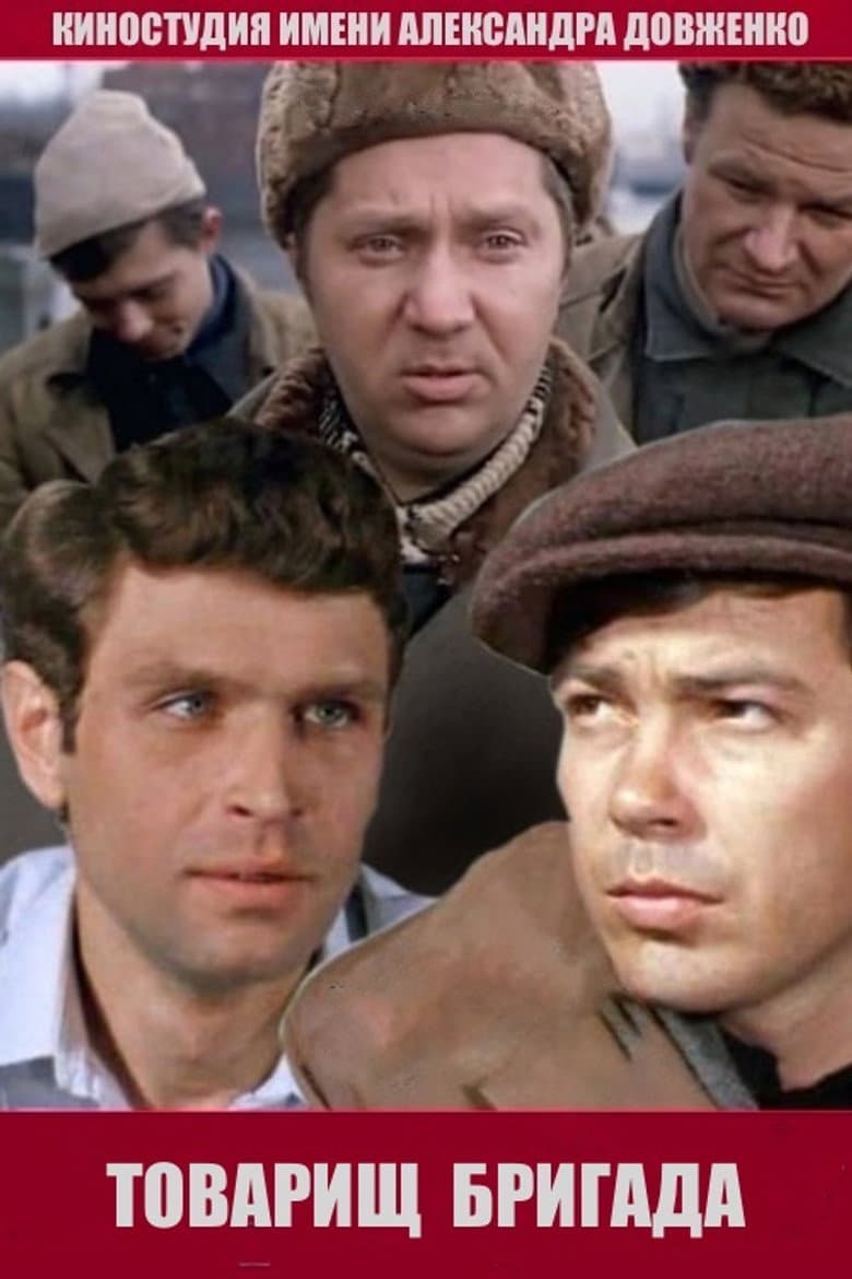 Товарищ бригада