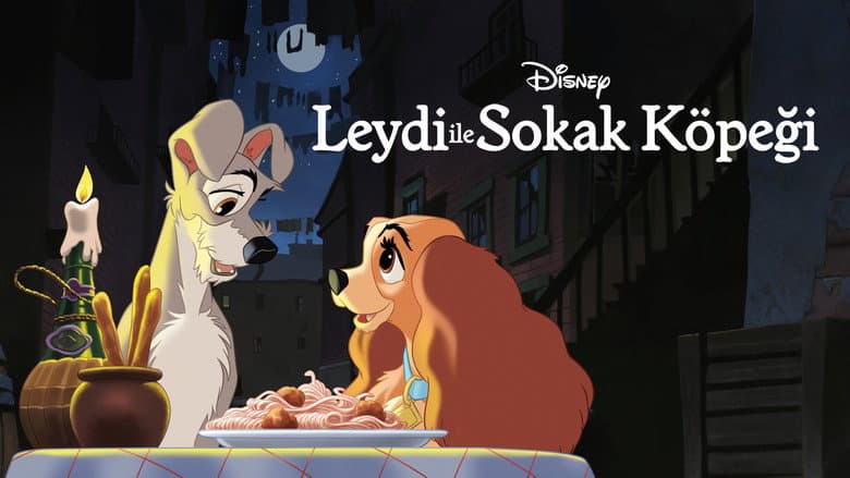 Leydi ile Sokak Köpeği Görsel 1