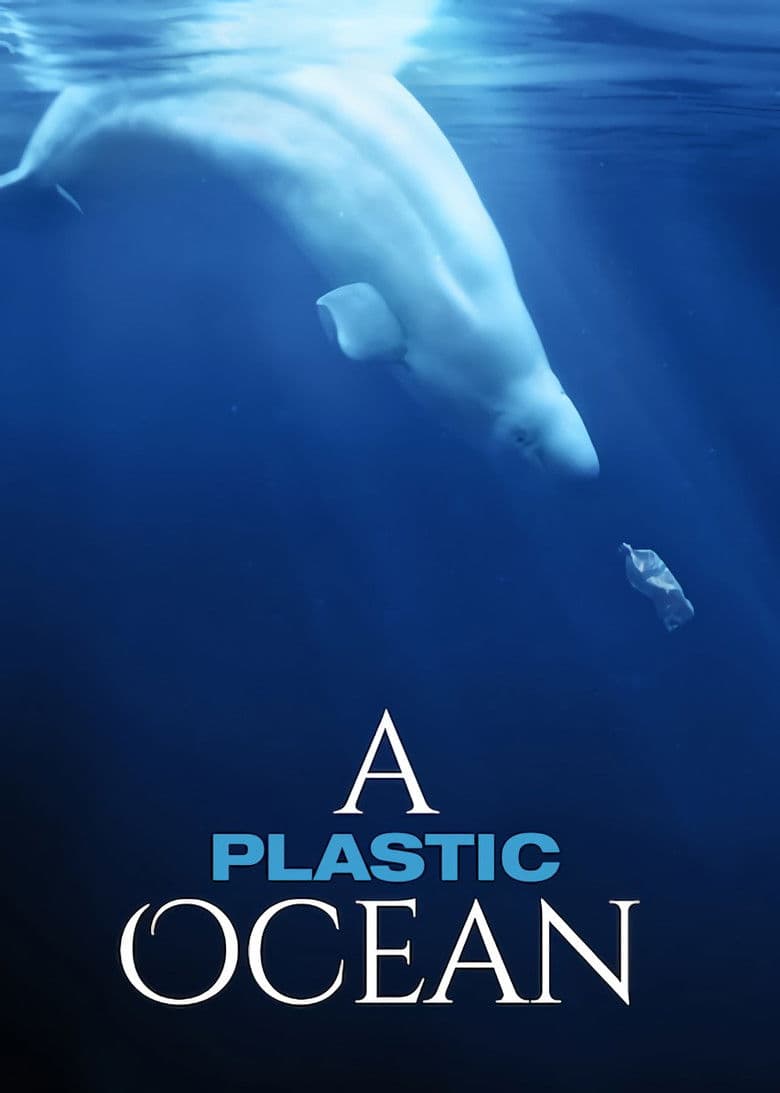 Plastik Okyanus