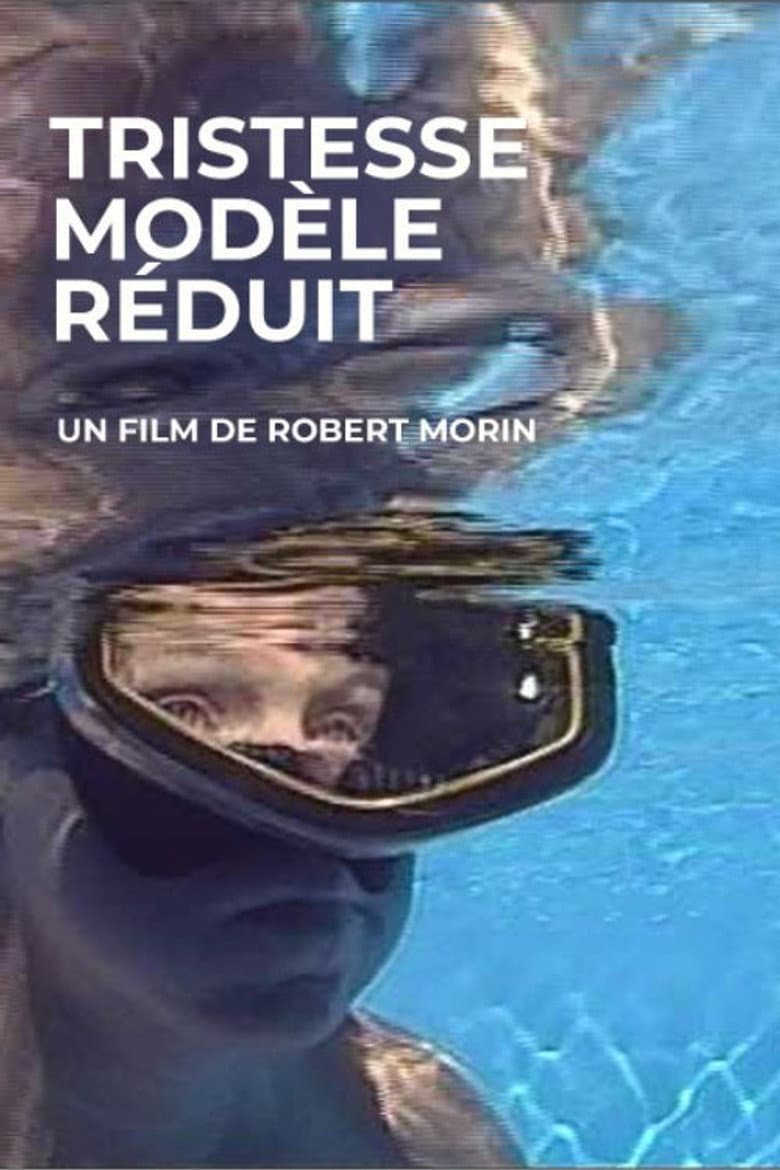 Tristesse modèle réduit