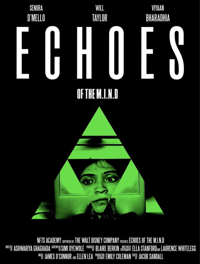 Echoes of the M.I.N.D.