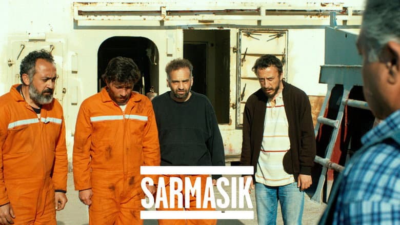 Sarmaşık Görsel 2