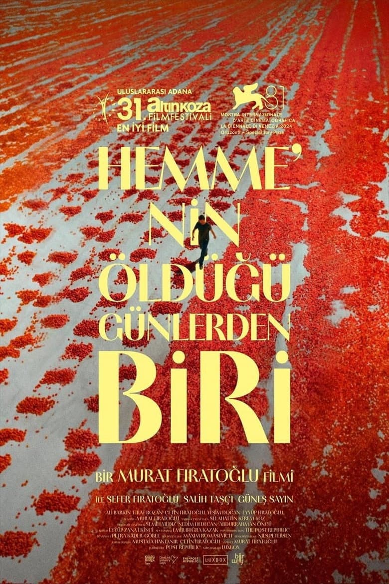 Hemme’nin Öldüğü Günlerden Biri
