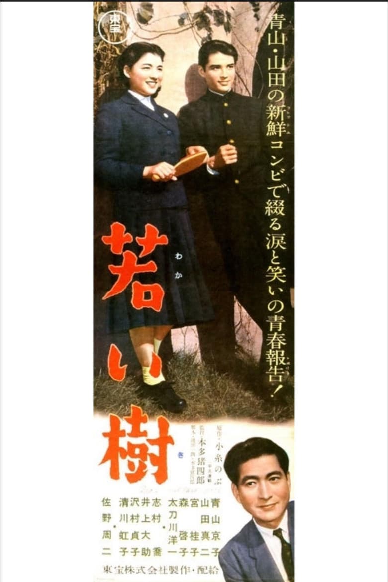 若い樹