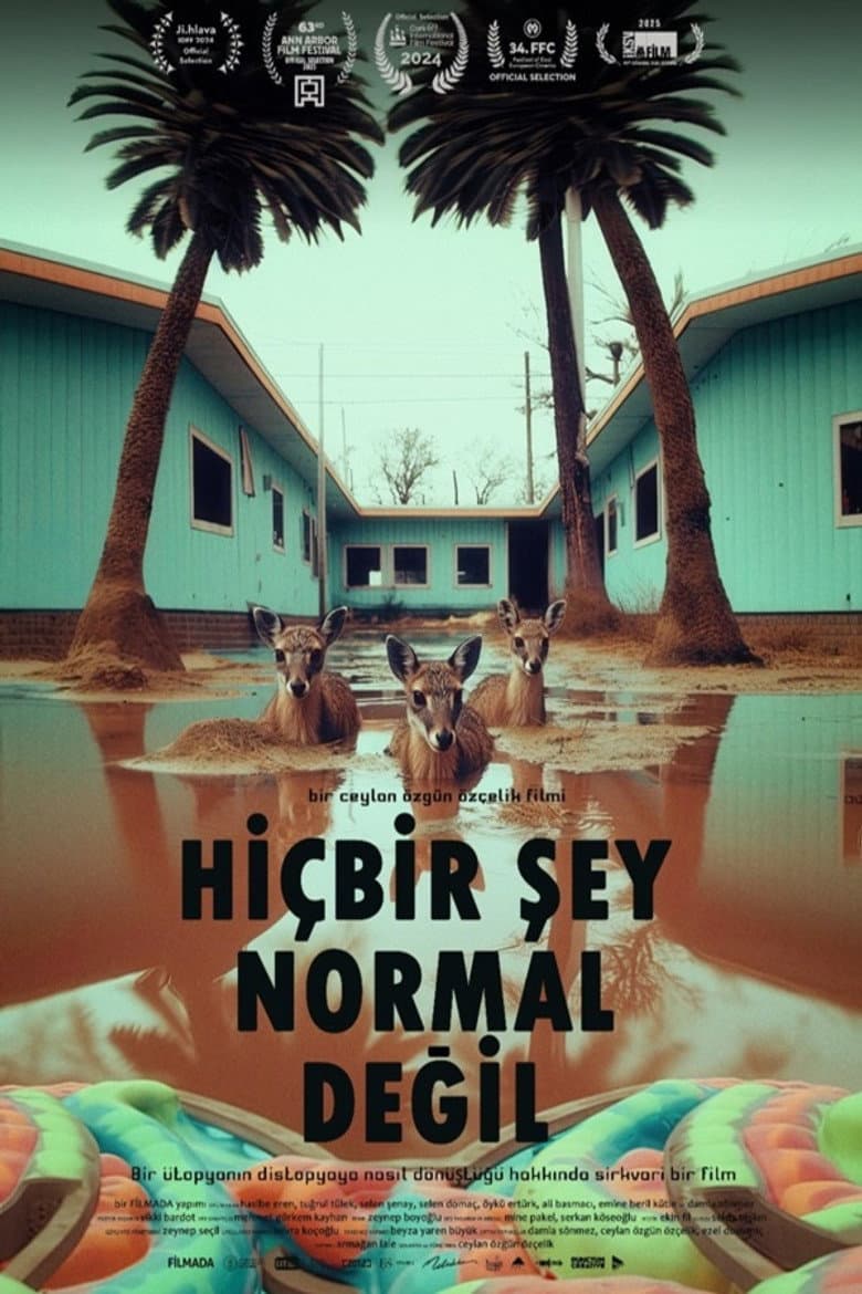 Hiçbir Şey Normal Değil