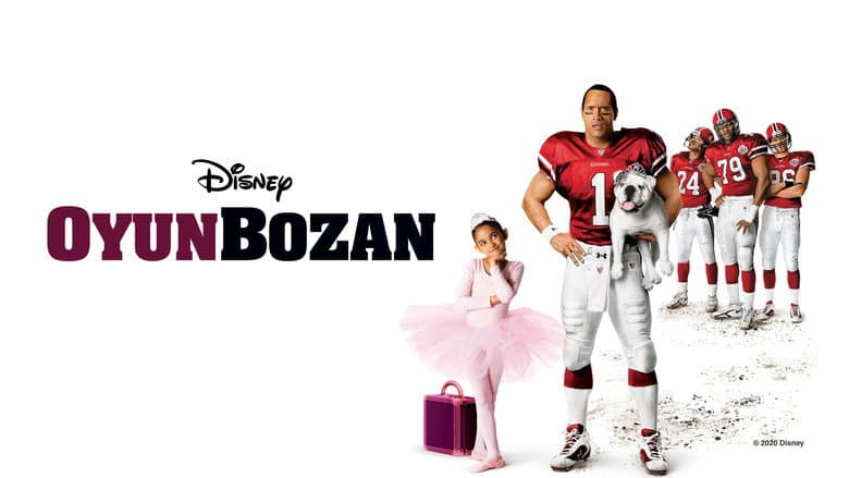 Oyunbozan Görsel 2