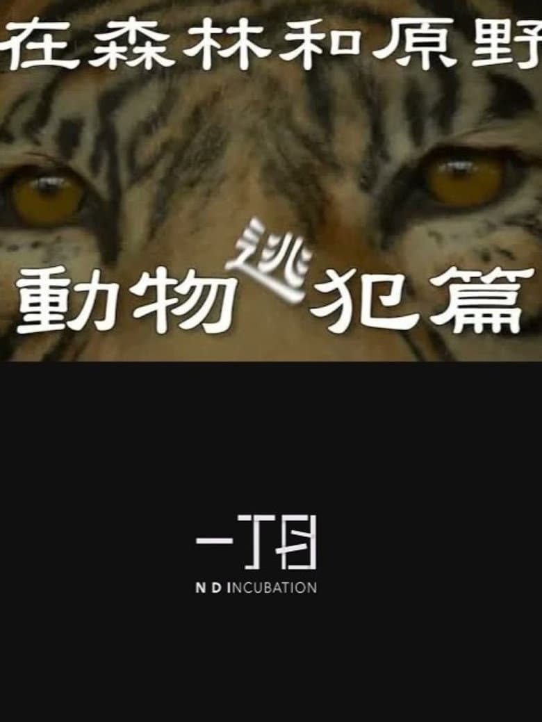 在森林和原野-動物逃犯篇