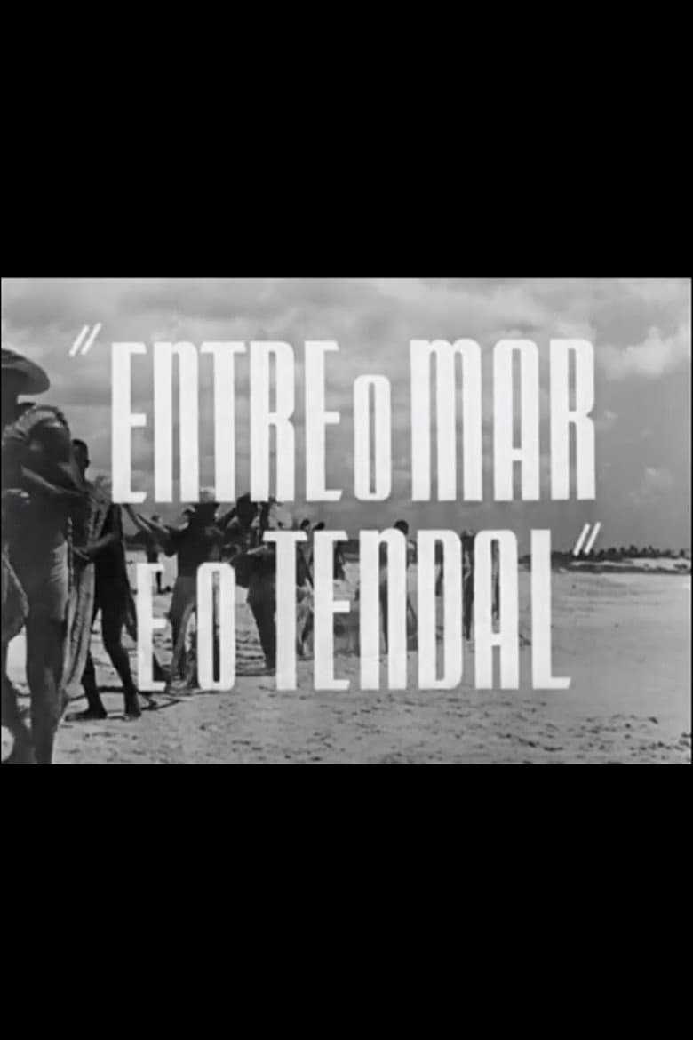 Entre o Mar e o Tendal