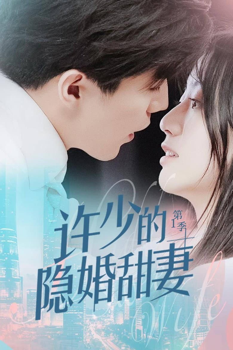 许少的隐婚甜妻