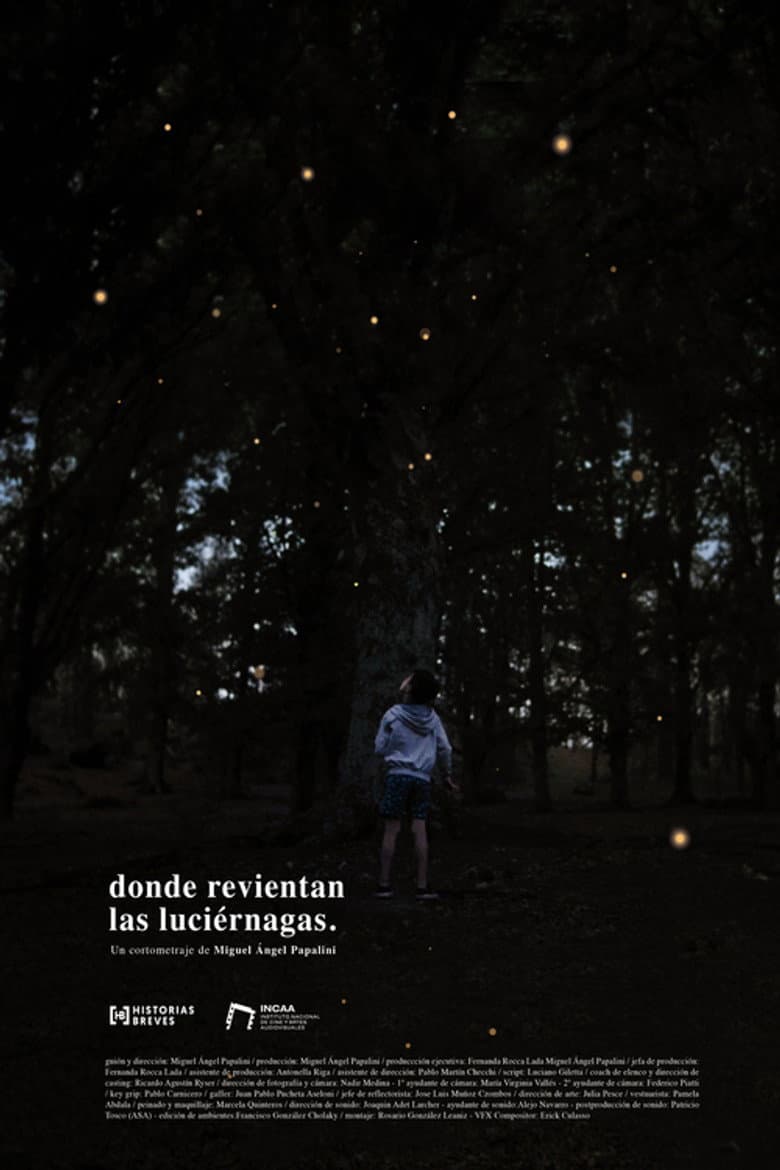 Donde revientan las luciérnagas