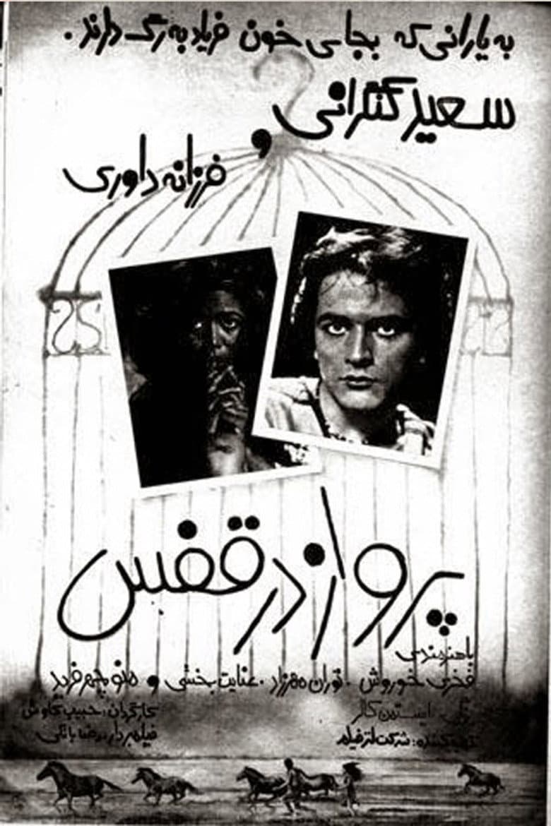 پرواز در قفس