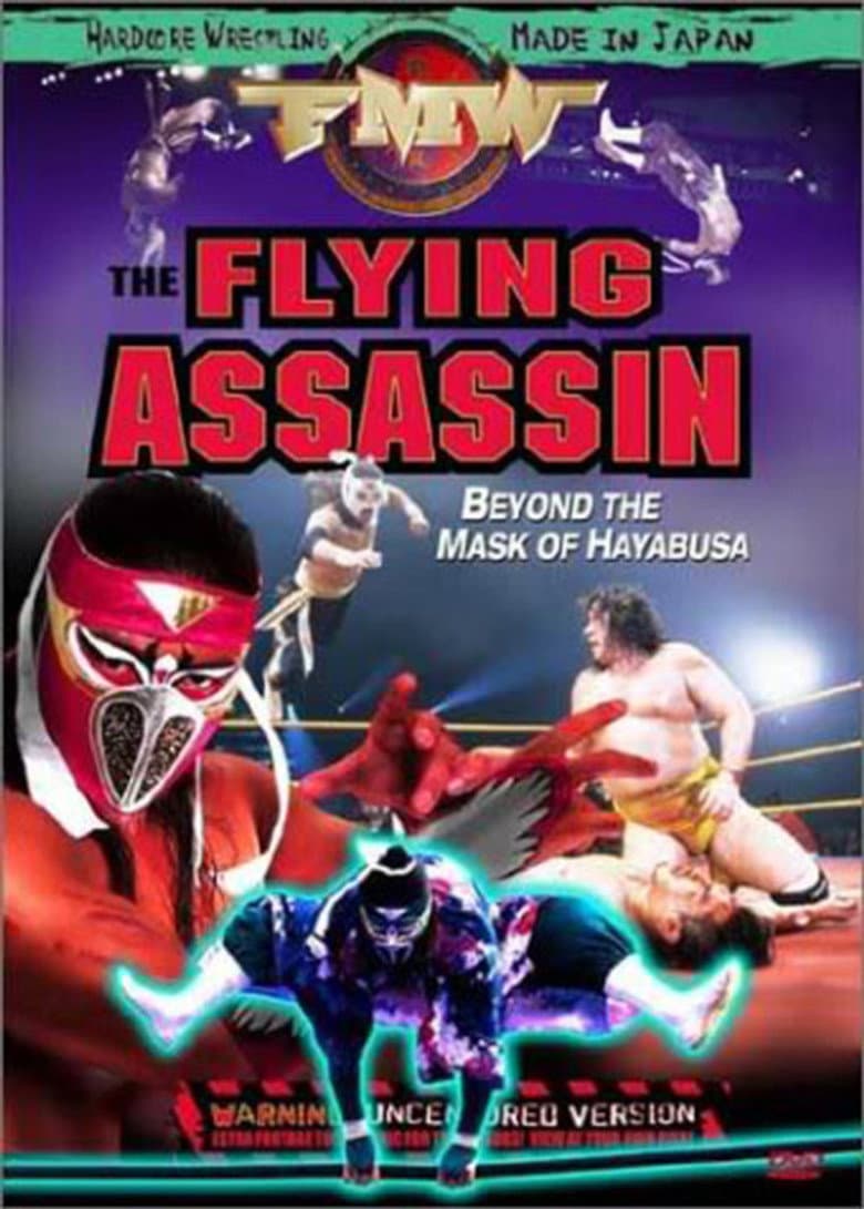 FMW Hayabusa- Flying Assassin
