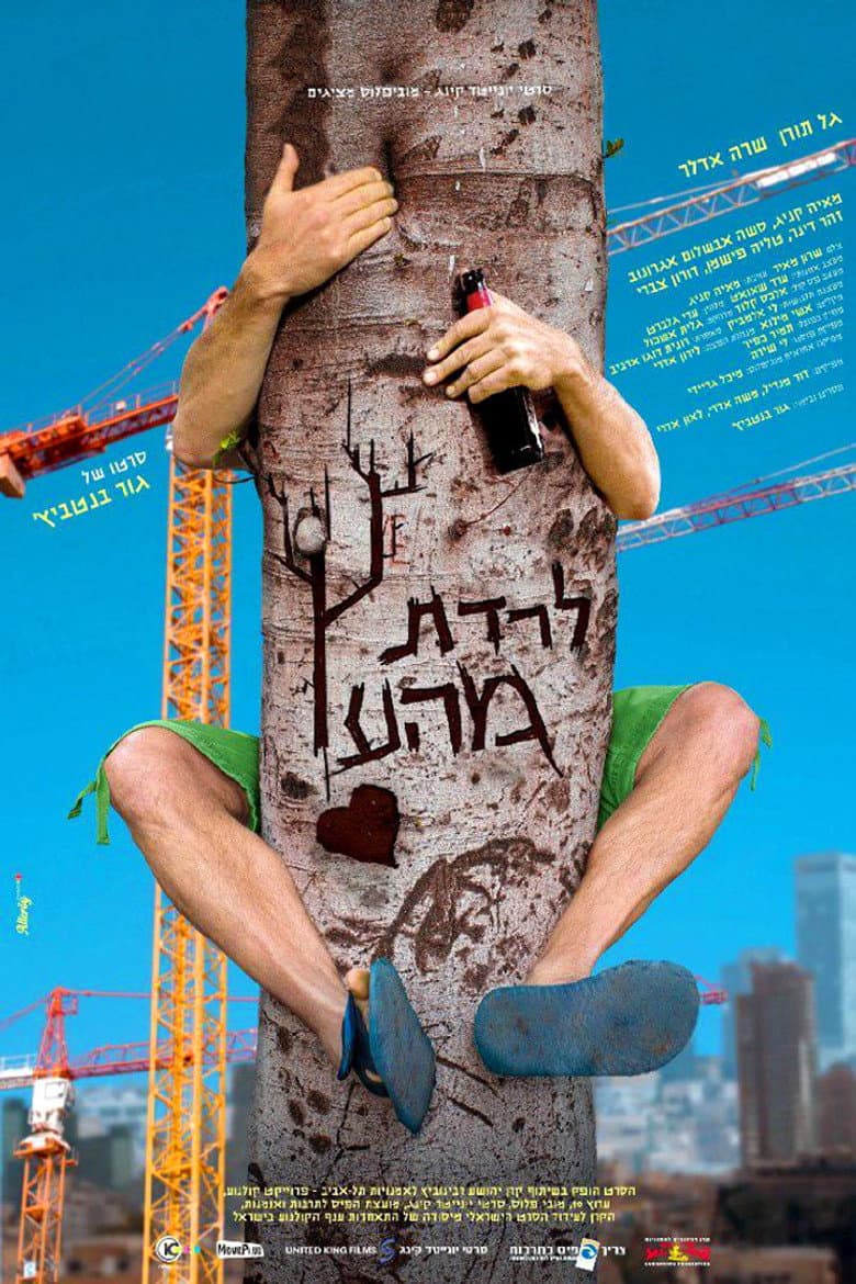 לרדת מהעץ