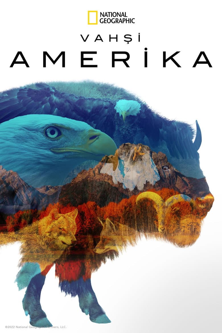 Vahşi Amerika