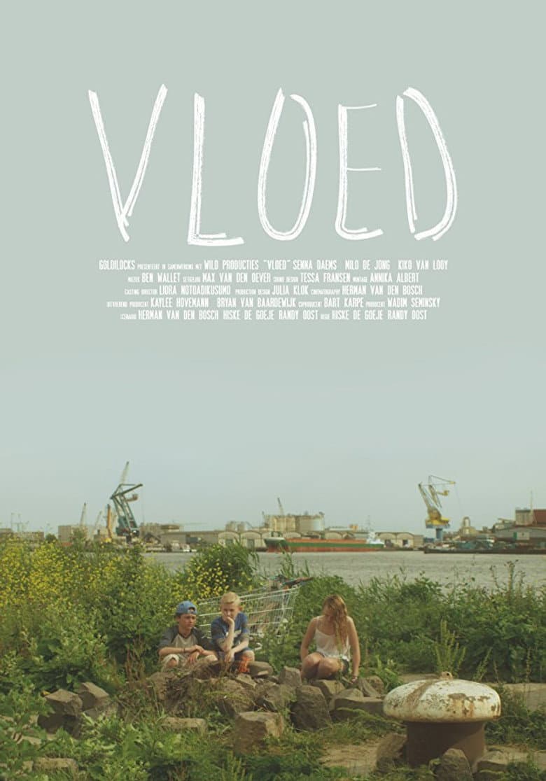 Vloed