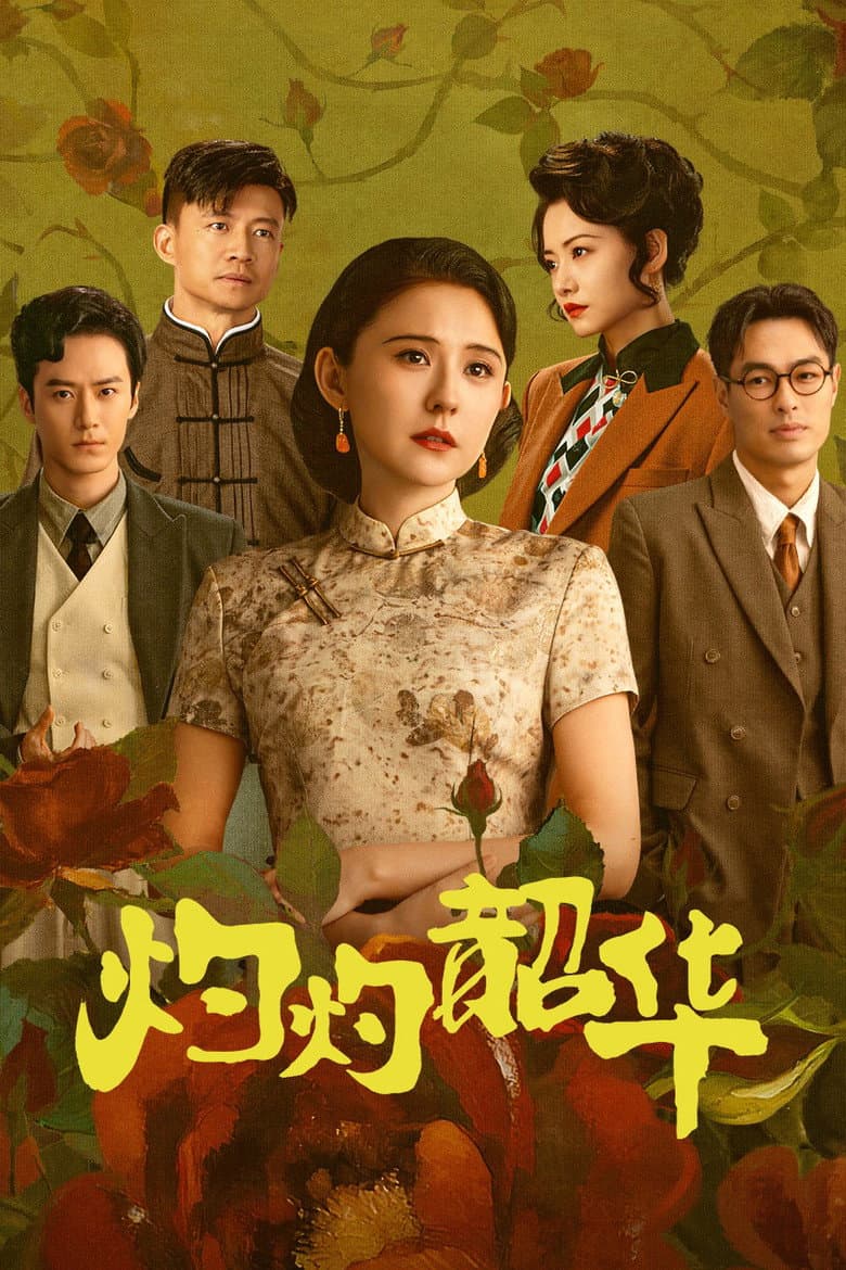 灼灼韶华