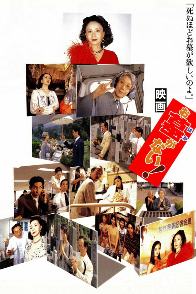 お墓がない!