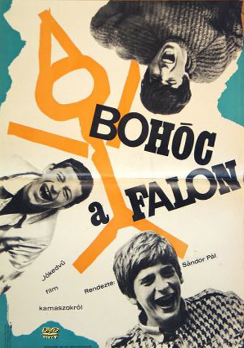 Bohóc a falon