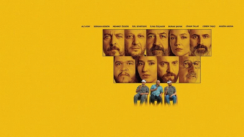 Anonim Görsel 3
