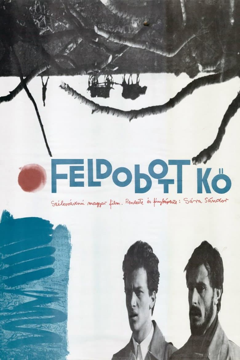 Feldobott kő
