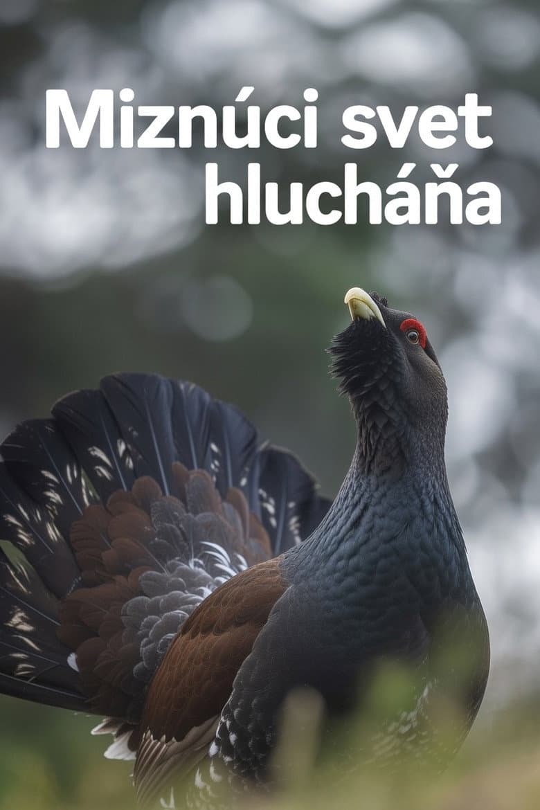 Miznúci svet hlucháňa