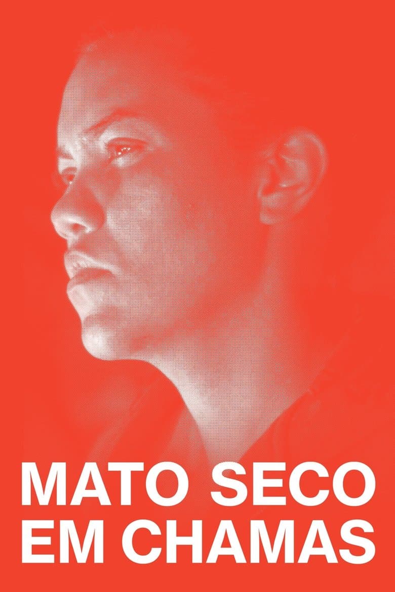 Mato Seco em Chamas