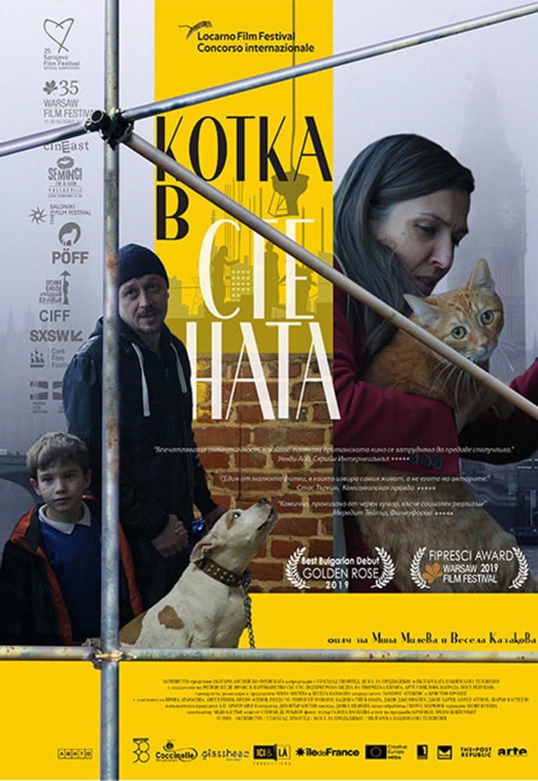 Котка в стената