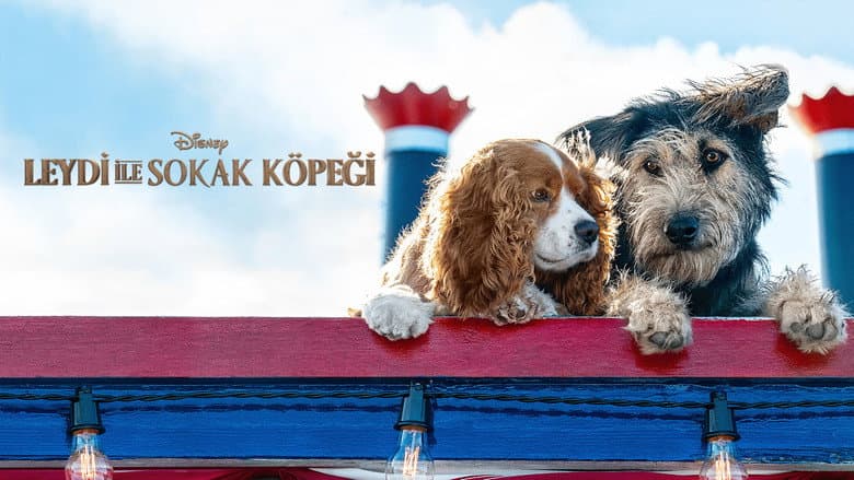 Lady ile Sokak Köpeği Görsel 1