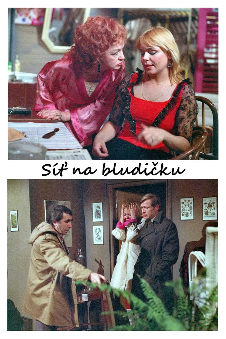 Síť na bludičku