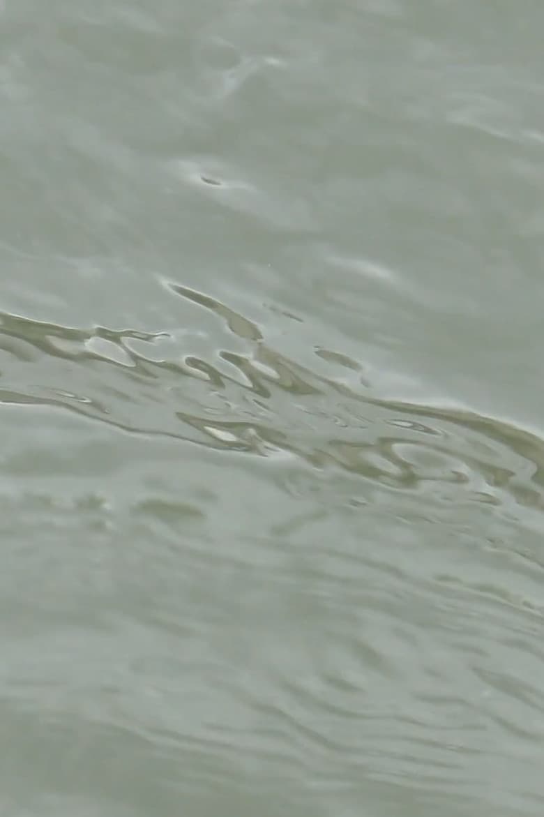 entre les vagues (un hommage)
