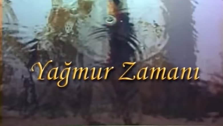 Yağmur Zamanı Görsel 1