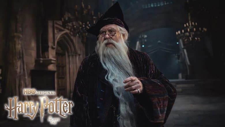 Harry Potter Görsel 2