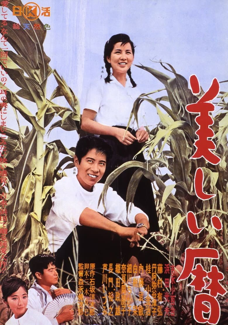 美しい暦