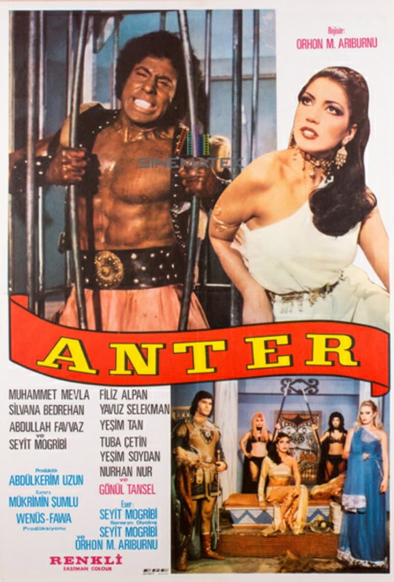 Anter Kara Ali