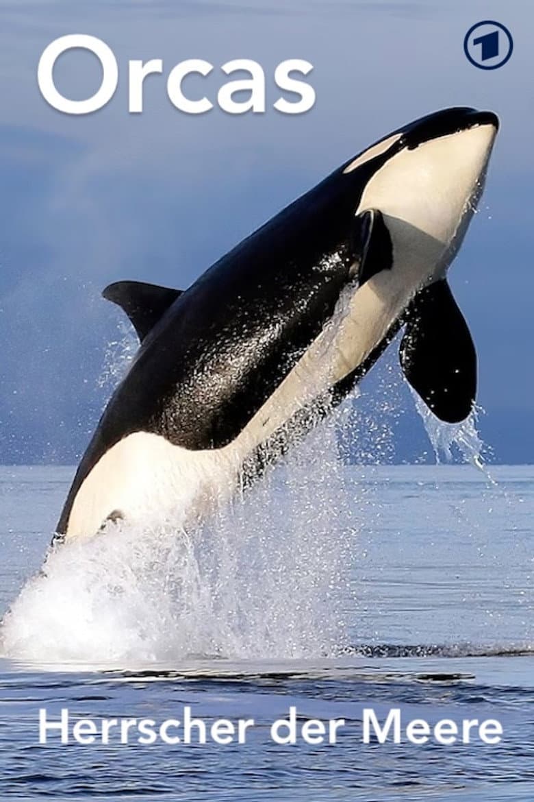 Orcas - Herrscher der Meere