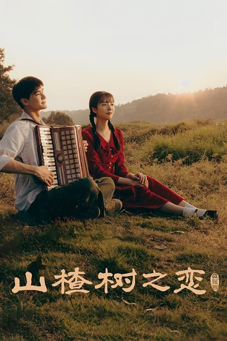 山楂树之恋