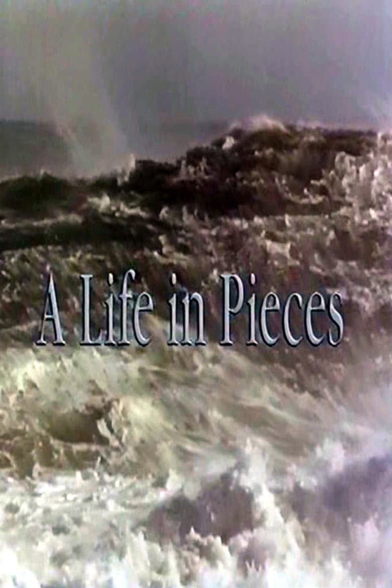 A Life In Pieces