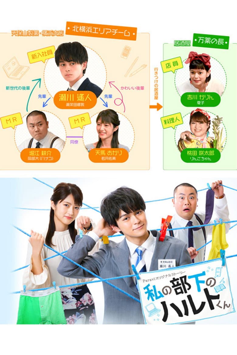 私の部下のハルトくん