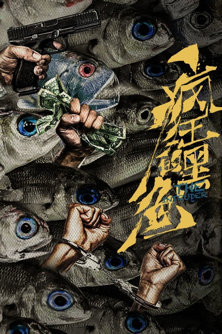 疯狂的黑鱼