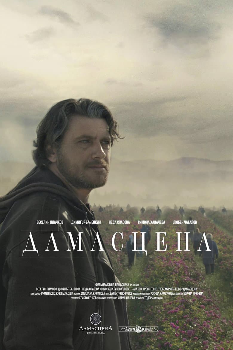 Дамасцена