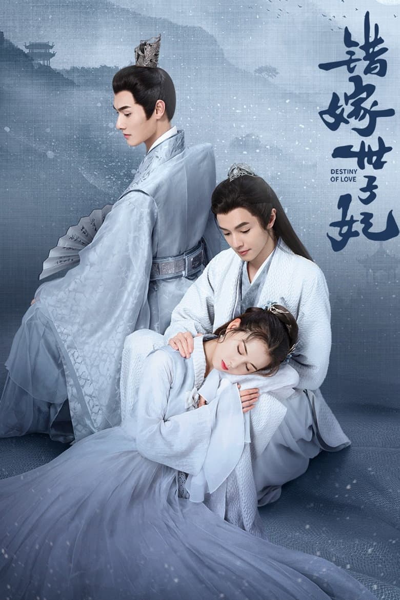 错嫁世子妃