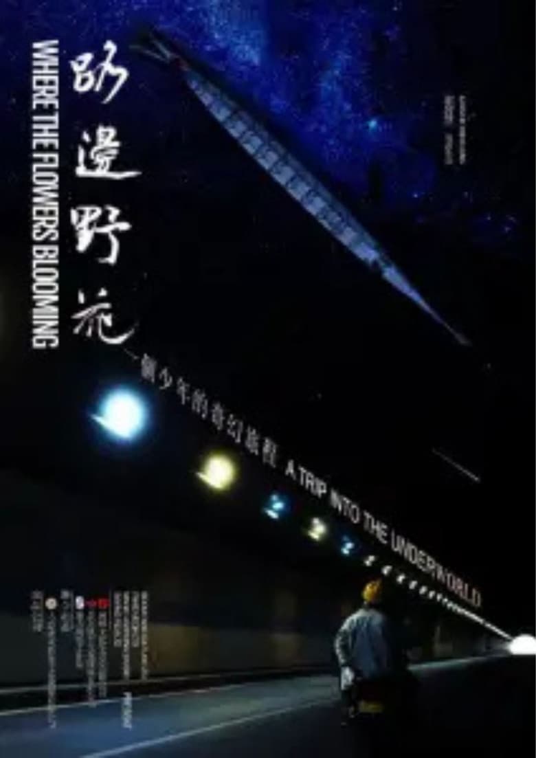 路边野花