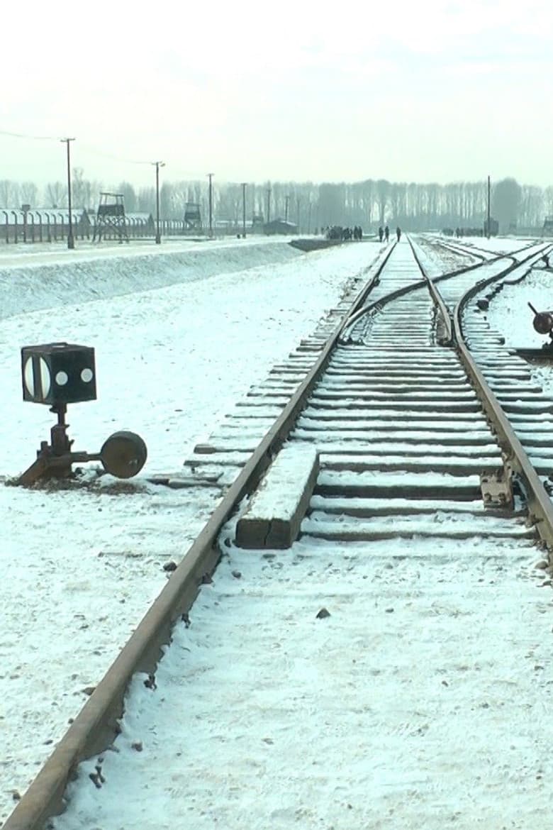 Mina 19 876 steg i Auschwitz / Birkenau