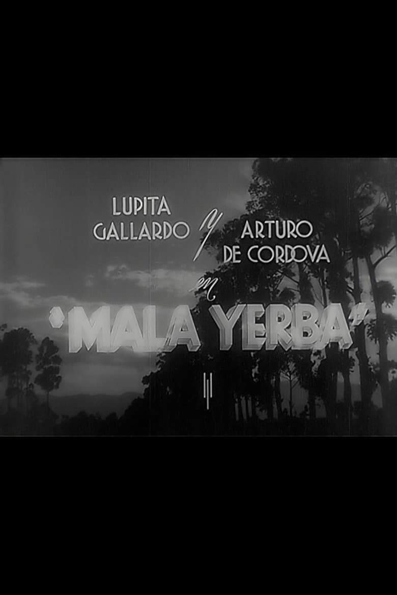 Mala yerba