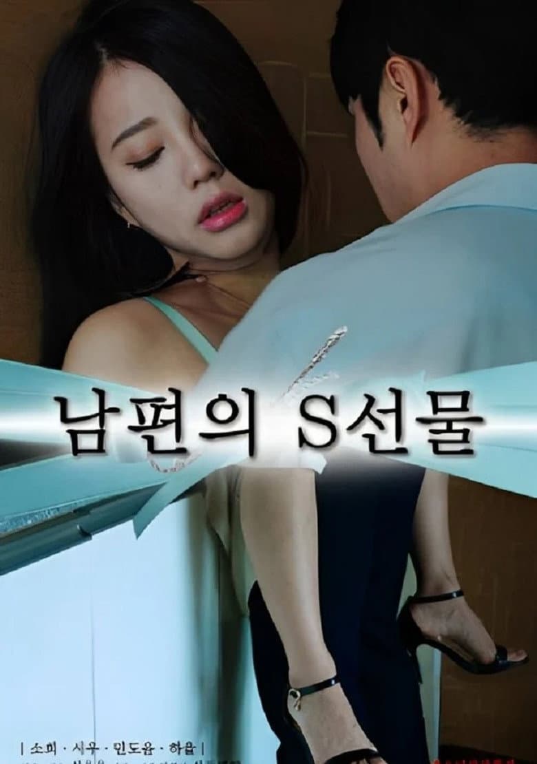 남편의 S선물
