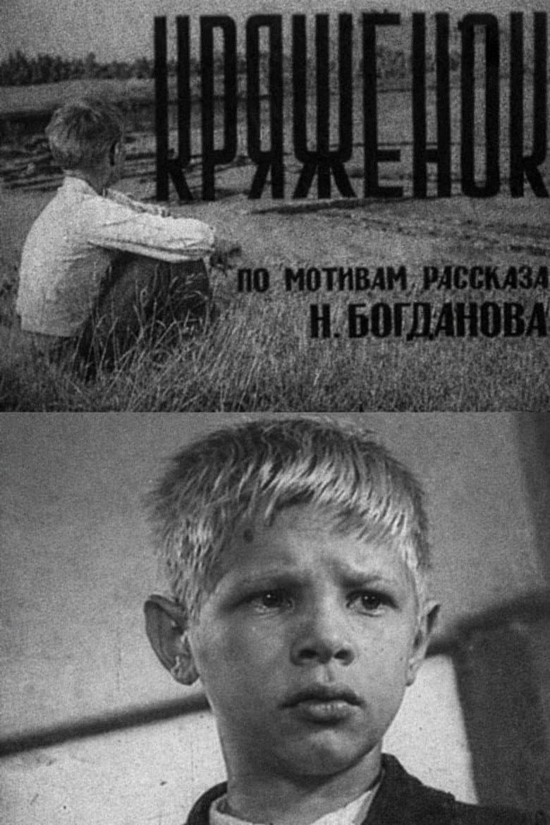 Кряжонок