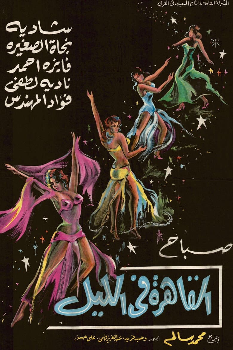 القاهرة في الليل