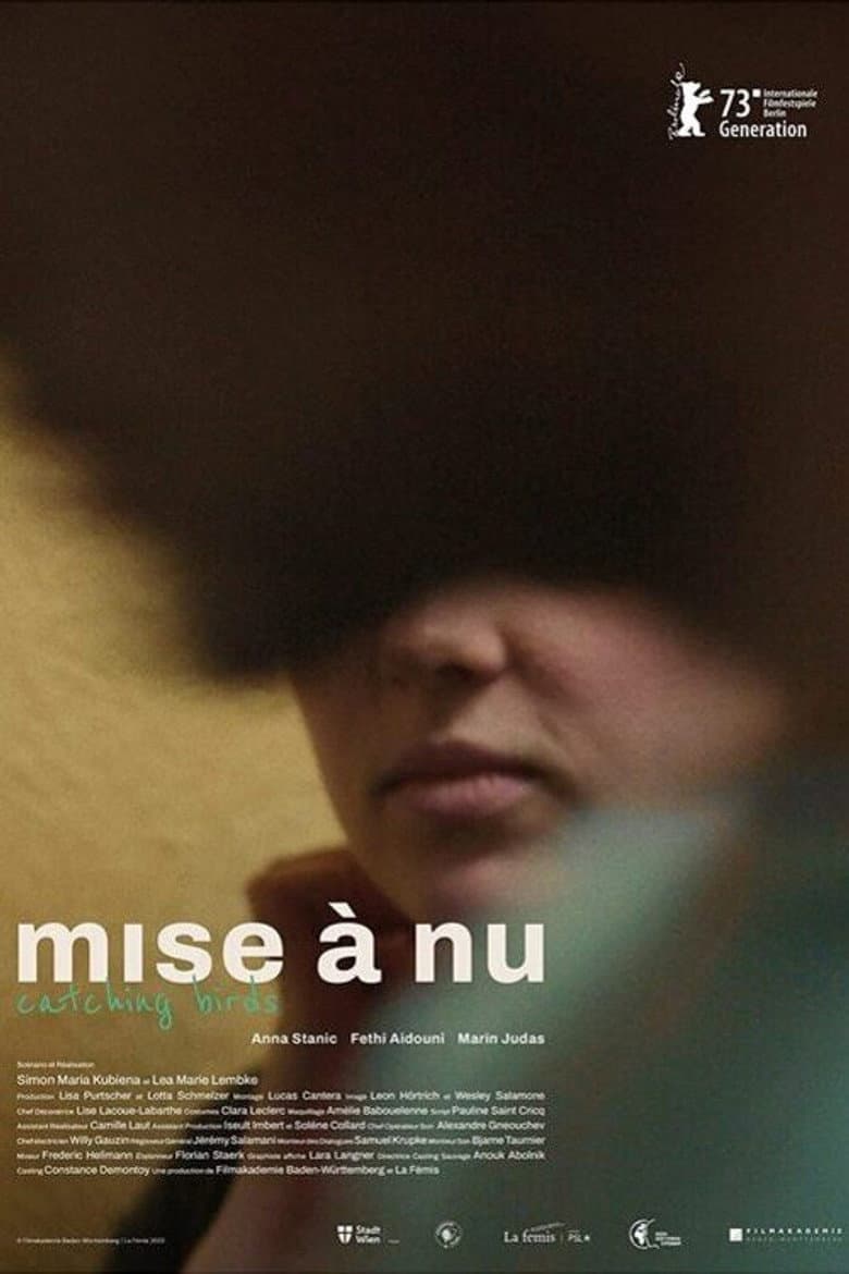mise à nu