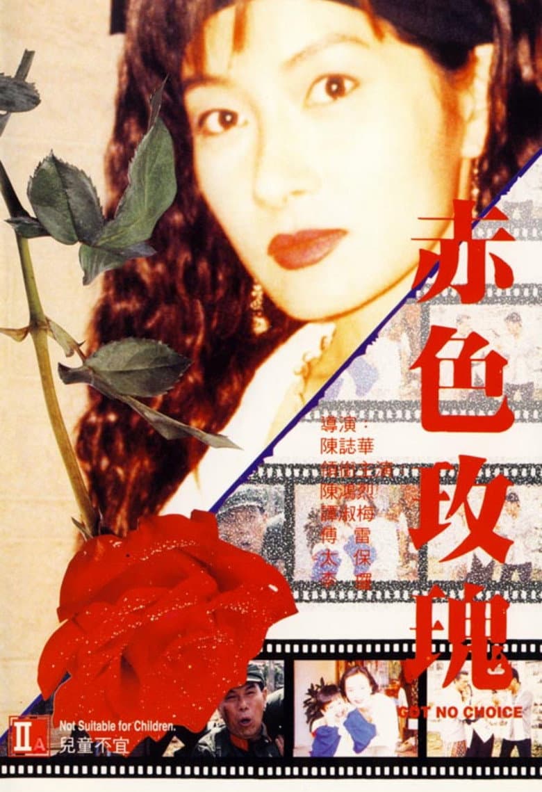 赤色玫瑰